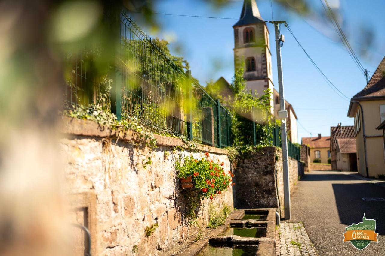 Gite O Gre Des Vosges 5 Etoiles Oberbronn, Vosges Du Nord Exterior photo